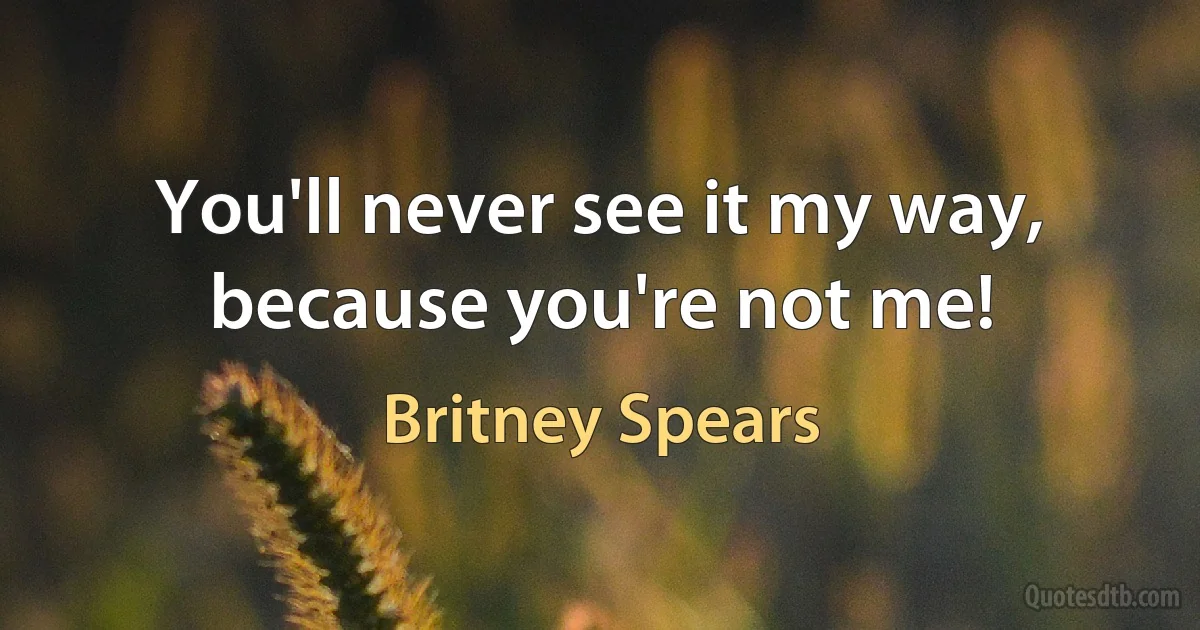 You'll never see it my way, because you're not me! (Britney Spears)