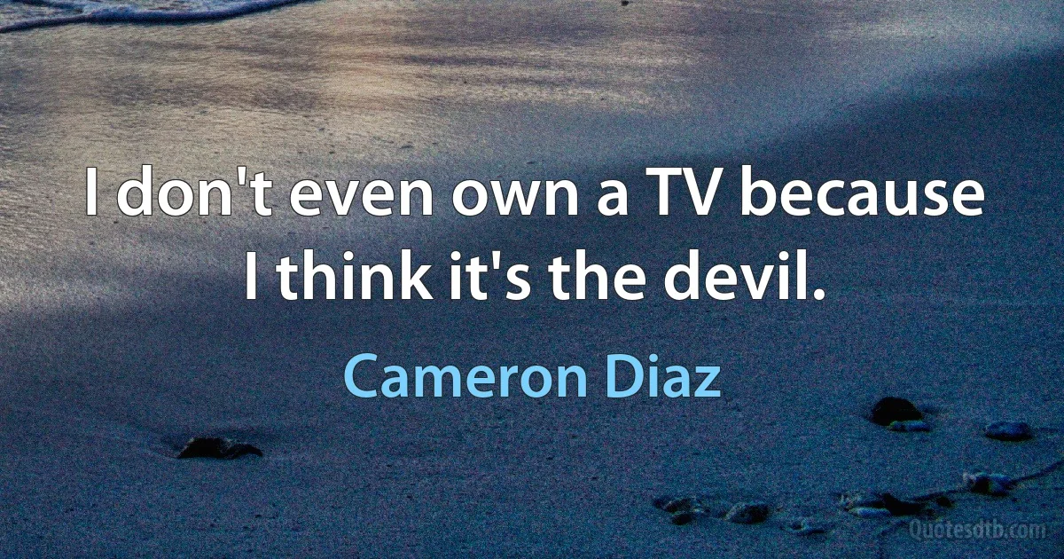 I don't even own a TV because I think it's the devil. (Cameron Diaz)