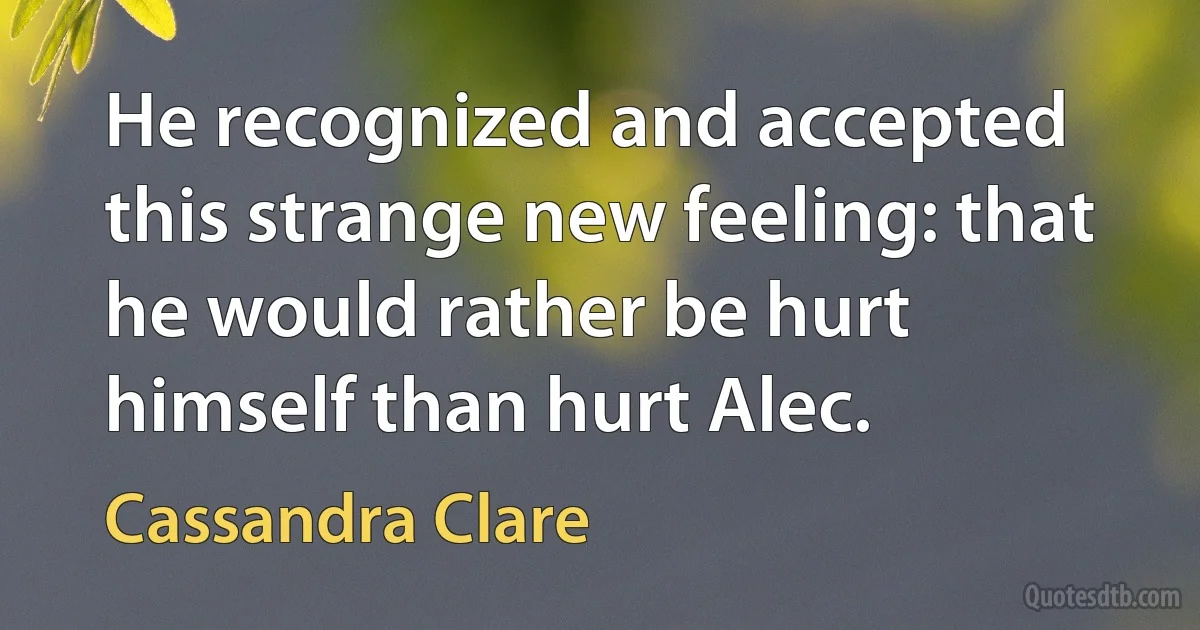 He recognized and accepted this strange new feeling: that he would rather be hurt himself than hurt Alec. (Cassandra Clare)