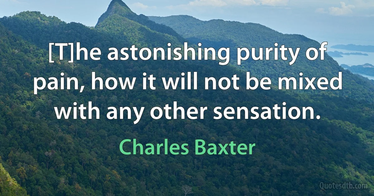 [T]he astonishing purity of pain, how it will not be mixed with any other sensation. (Charles Baxter)