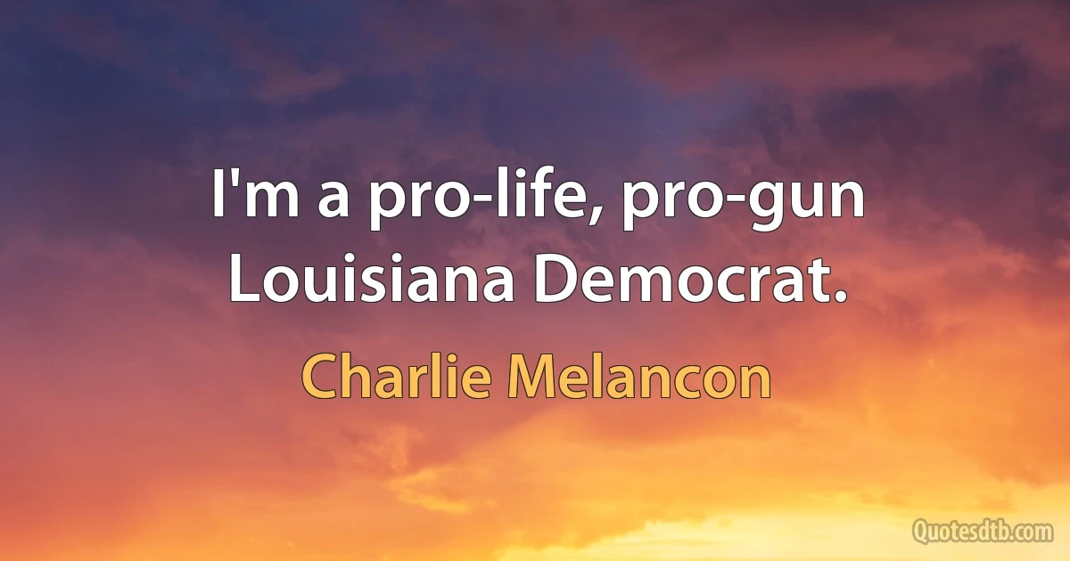 I'm a pro-life, pro-gun Louisiana Democrat. (Charlie Melancon)