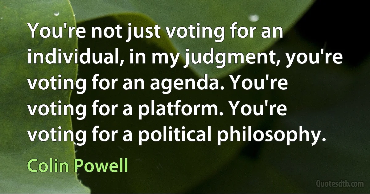 You're not just voting for an individual, in my judgment, you're voting for an agenda. You're voting for a platform. You're voting for a political philosophy. (Colin Powell)