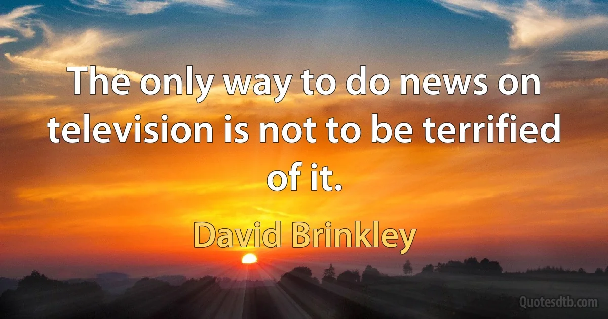 The only way to do news on television is not to be terrified of it. (David Brinkley)