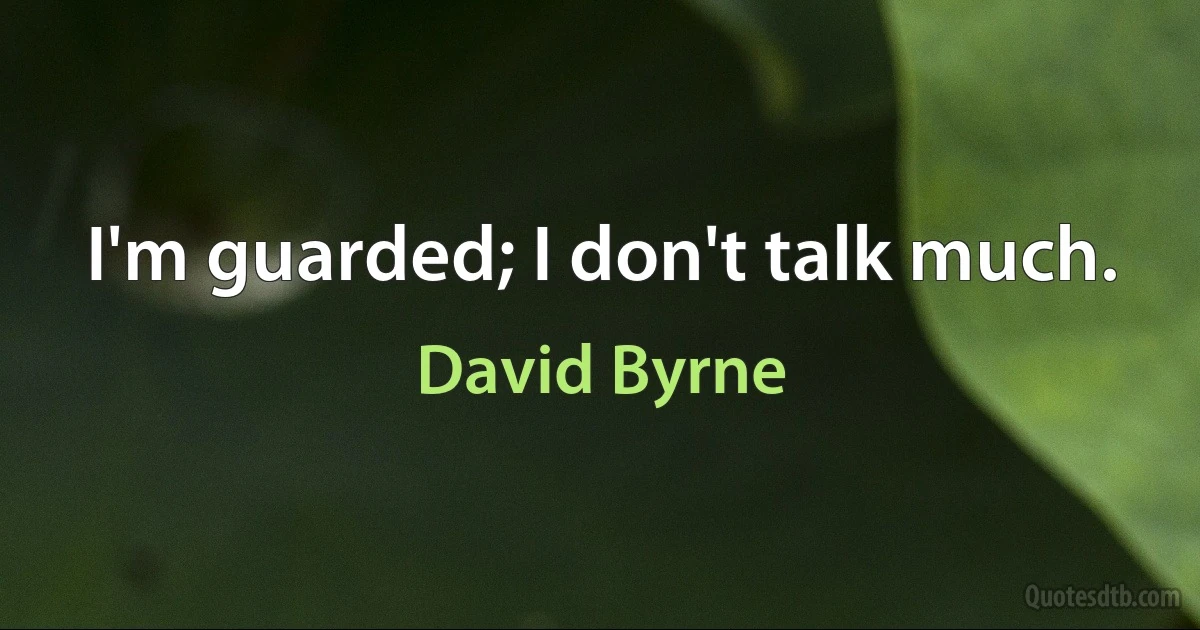 I'm guarded; I don't talk much. (David Byrne)