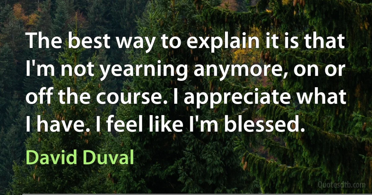 The best way to explain it is that I'm not yearning anymore, on or off the course. I appreciate what I have. I feel like I'm blessed. (David Duval)