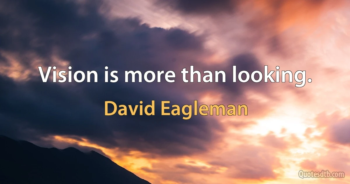 Vision is more than looking. (David Eagleman)