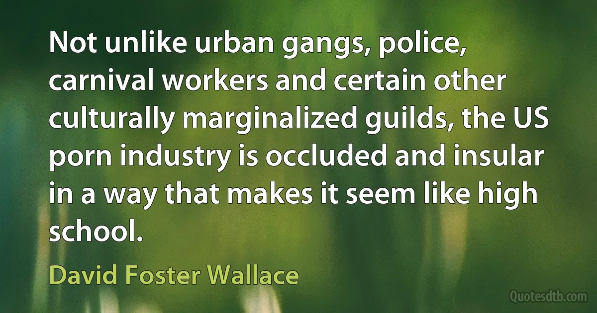 Not unlike urban gangs, police, carnival workers and certain other culturally marginalized guilds, the US porn industry is occluded and insular in a way that makes it seem like high school. (David Foster Wallace)