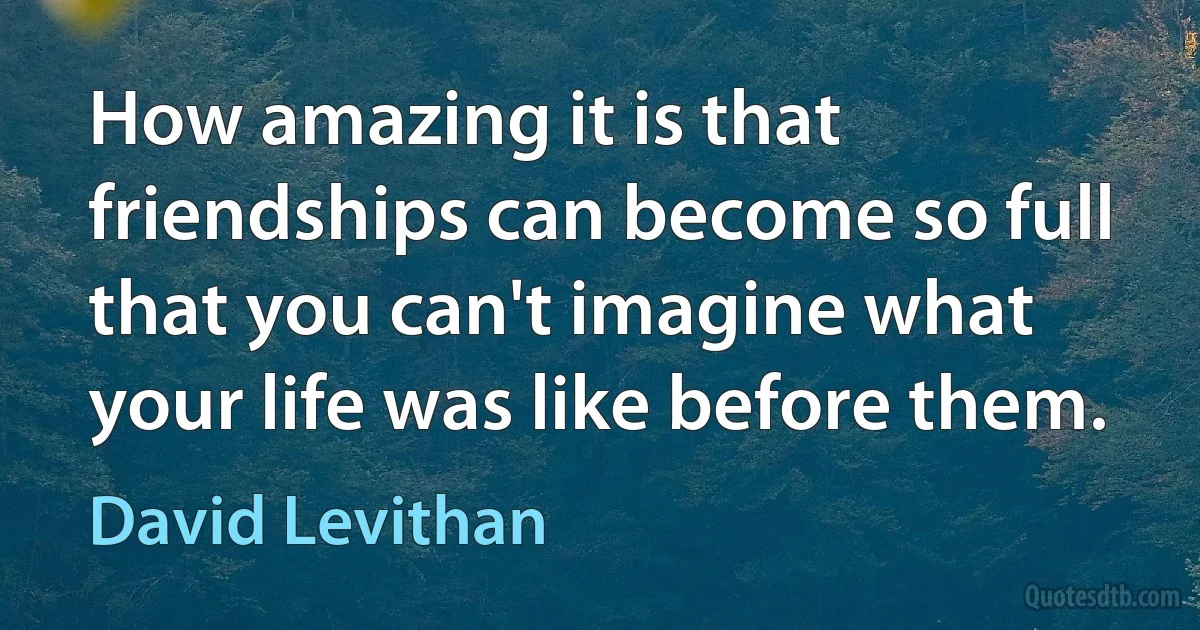 How amazing it is that friendships can become so full that you can't imagine what your life was like before them. (David Levithan)