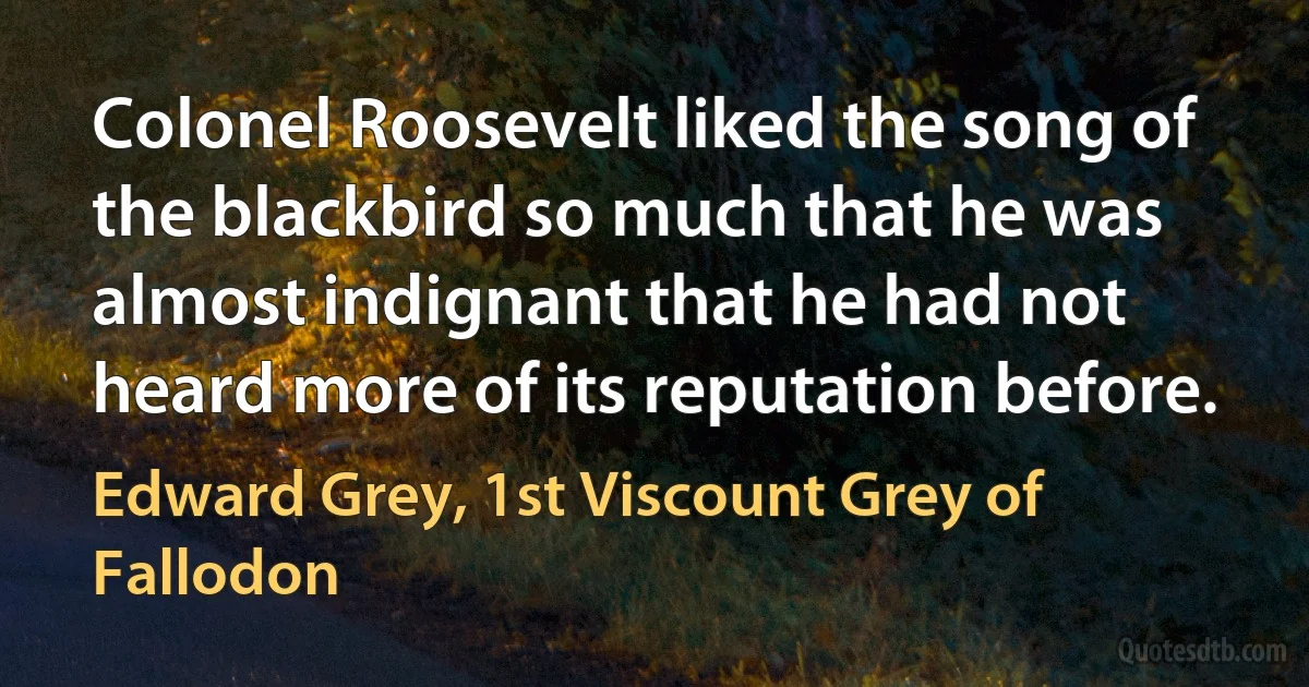 Colonel Roosevelt liked the song of the blackbird so much that he was almost indignant that he had not heard more of its reputation before. (Edward Grey, 1st Viscount Grey of Fallodon)