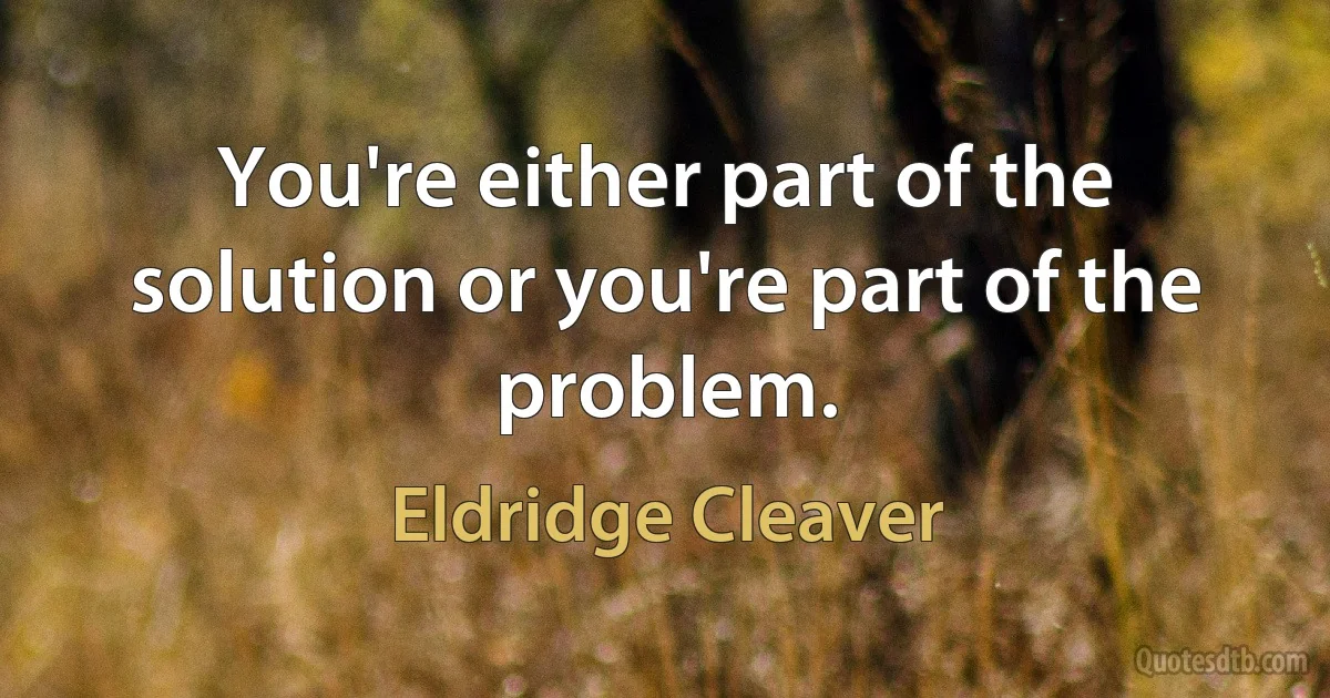 You're either part of the solution or you're part of the problem. (Eldridge Cleaver)