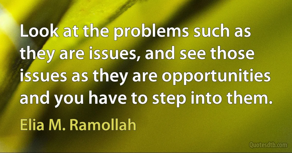 Look at the problems such as they are issues, and see those issues as they are opportunities and you have to step into them. (Elia M. Ramollah)