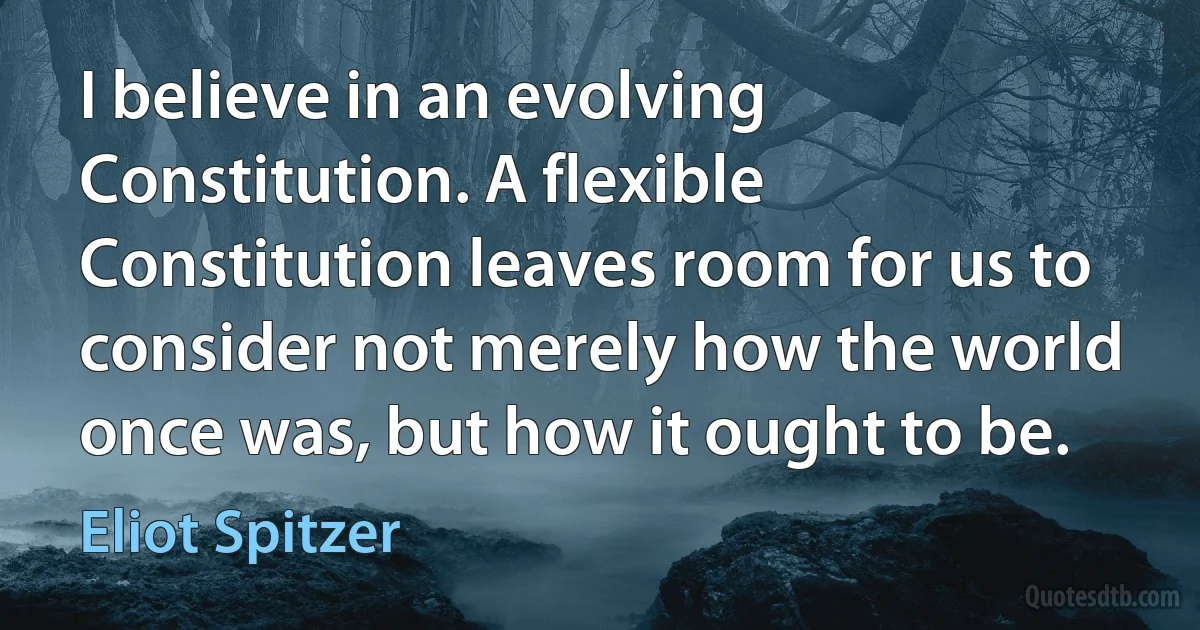 I believe in an evolving Constitution. A flexible Constitution leaves room for us to consider not merely how the world once was, but how it ought to be. (Eliot Spitzer)