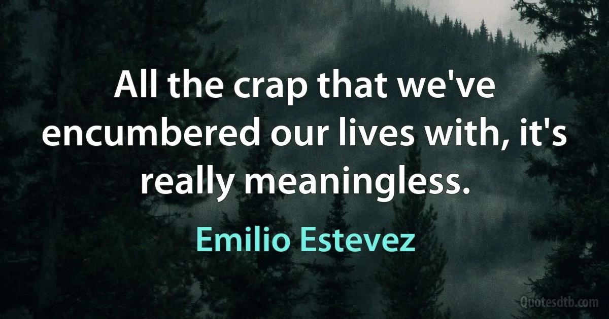 All the crap that we've encumbered our lives with, it's really meaningless. (Emilio Estevez)