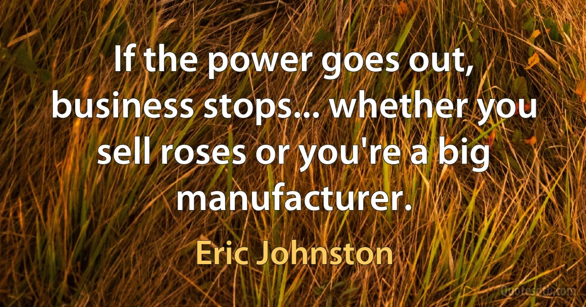 If the power goes out, business stops... whether you sell roses or you're a big manufacturer. (Eric Johnston)