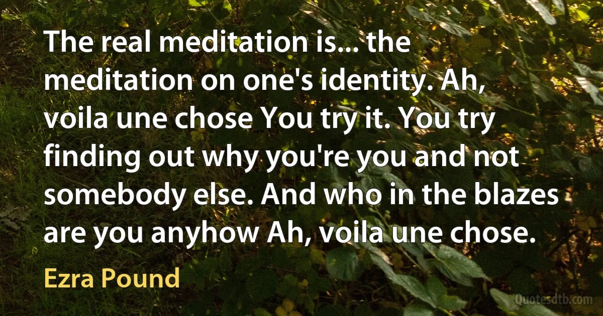 The real meditation is... the meditation on one's identity. Ah, voila une chose You try it. You try finding out why you're you and not somebody else. And who in the blazes are you anyhow Ah, voila une chose. (Ezra Pound)