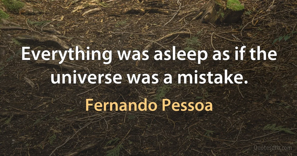 Everything was asleep as if the universe was a mistake. (Fernando Pessoa)