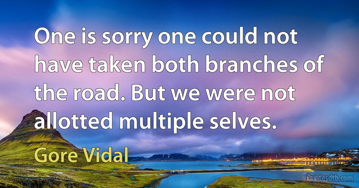 One is sorry one could not have taken both branches of the road. But we were not allotted multiple selves. (Gore Vidal)