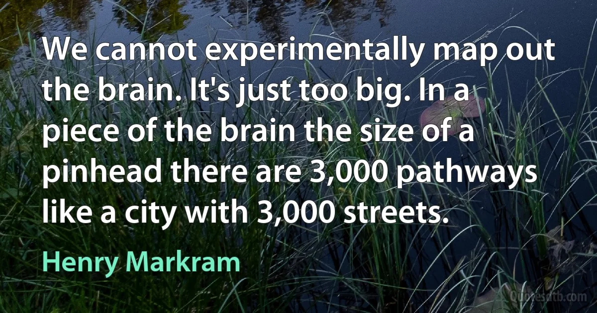 We cannot experimentally map out the brain. It's just too big. In a piece of the brain the size of a pinhead there are 3,000 pathways like a city with 3,000 streets. (Henry Markram)