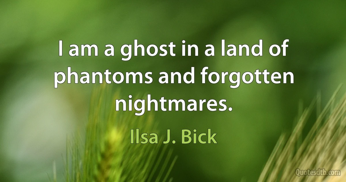 I am a ghost in a land of phantoms and forgotten nightmares. (Ilsa J. Bick)