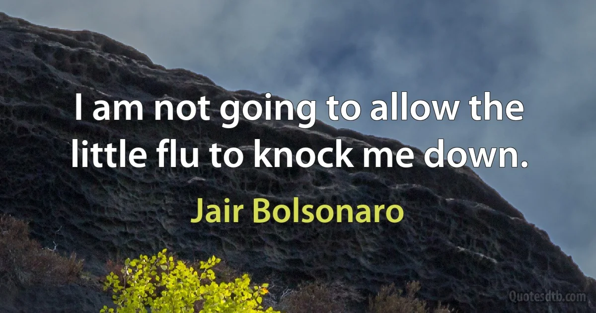 I am not going to allow the little flu to knock me down. (Jair Bolsonaro)