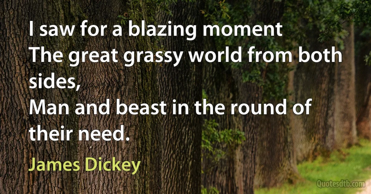 I saw for a blazing moment
The great grassy world from both sides,
Man and beast in the round of their need. (James Dickey)