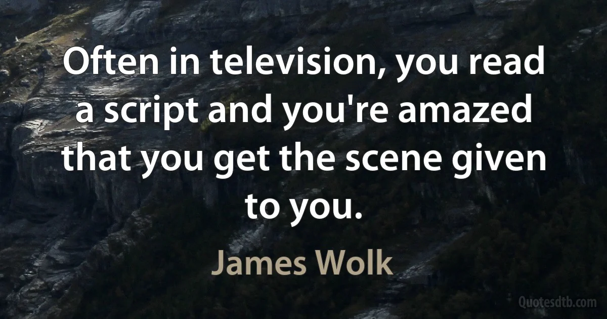 Often in television, you read a script and you're amazed that you get the scene given to you. (James Wolk)