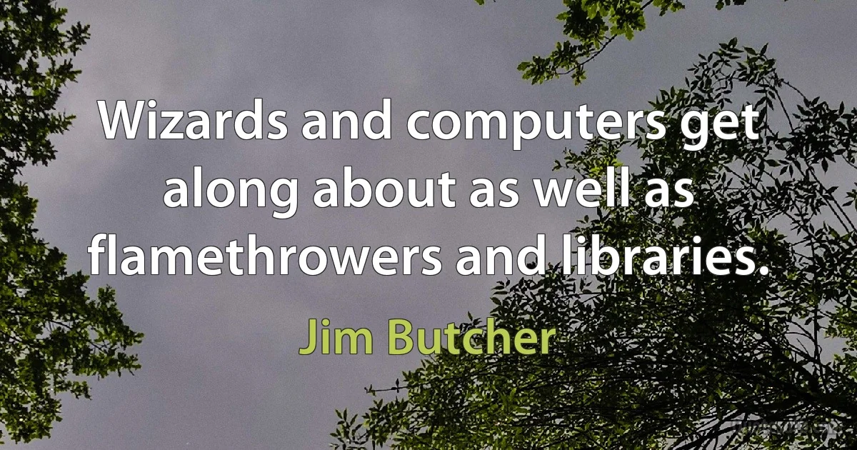 Wizards and computers get along about as well as flamethrowers and libraries. (Jim Butcher)