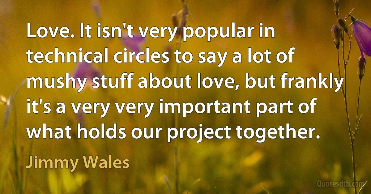 Love. It isn't very popular in technical circles to say a lot of mushy stuff about love, but frankly it's a very very important part of what holds our project together. (Jimmy Wales)