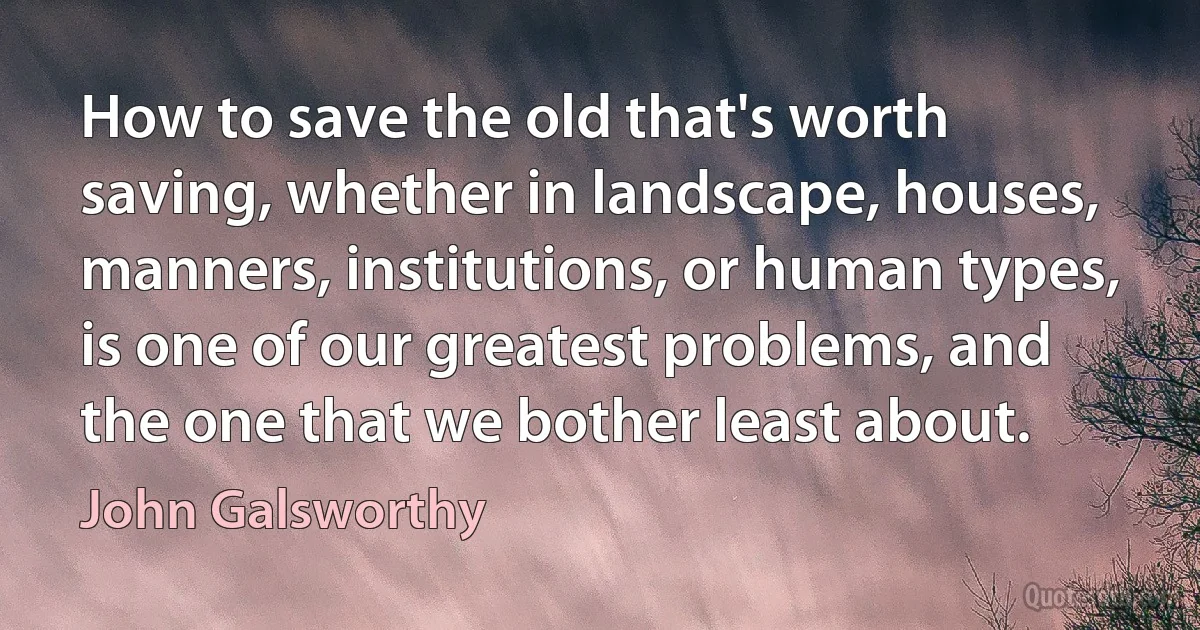 How to save the old that's worth saving, whether in landscape, houses, manners, institutions, or human types, is one of our greatest problems, and the one that we bother least about. (John Galsworthy)