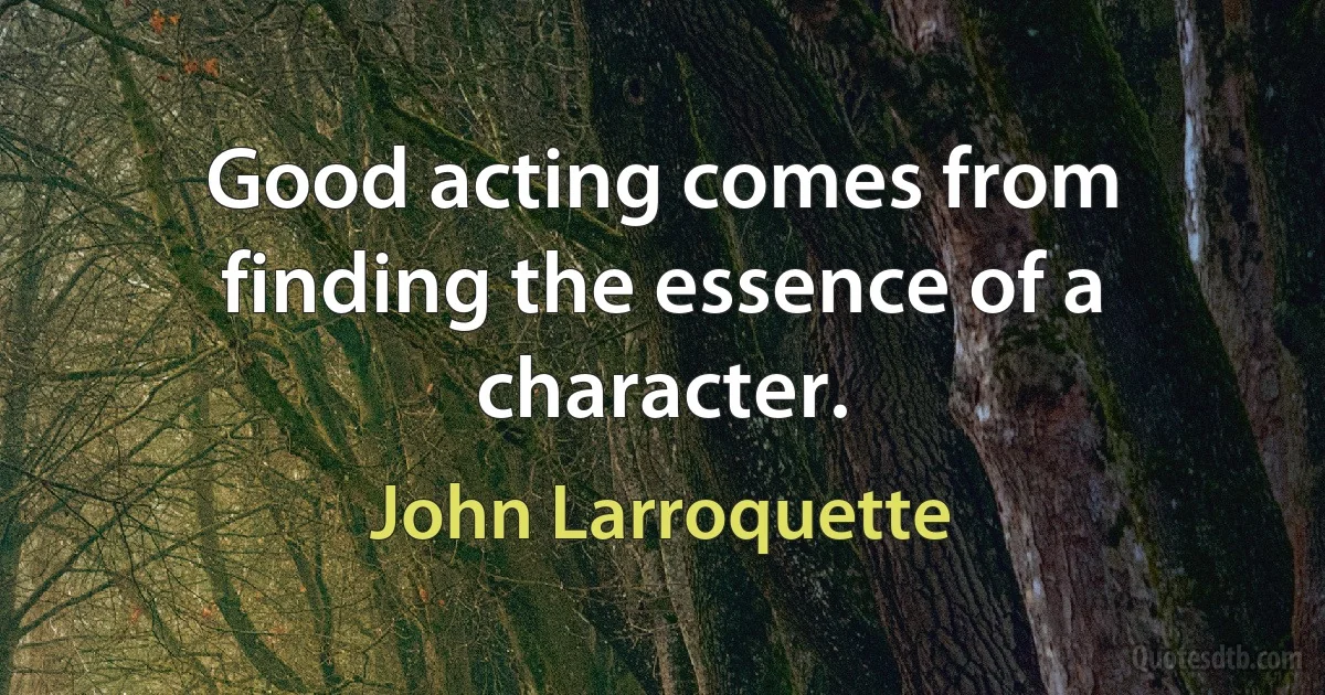 Good acting comes from finding the essence of a character. (John Larroquette)