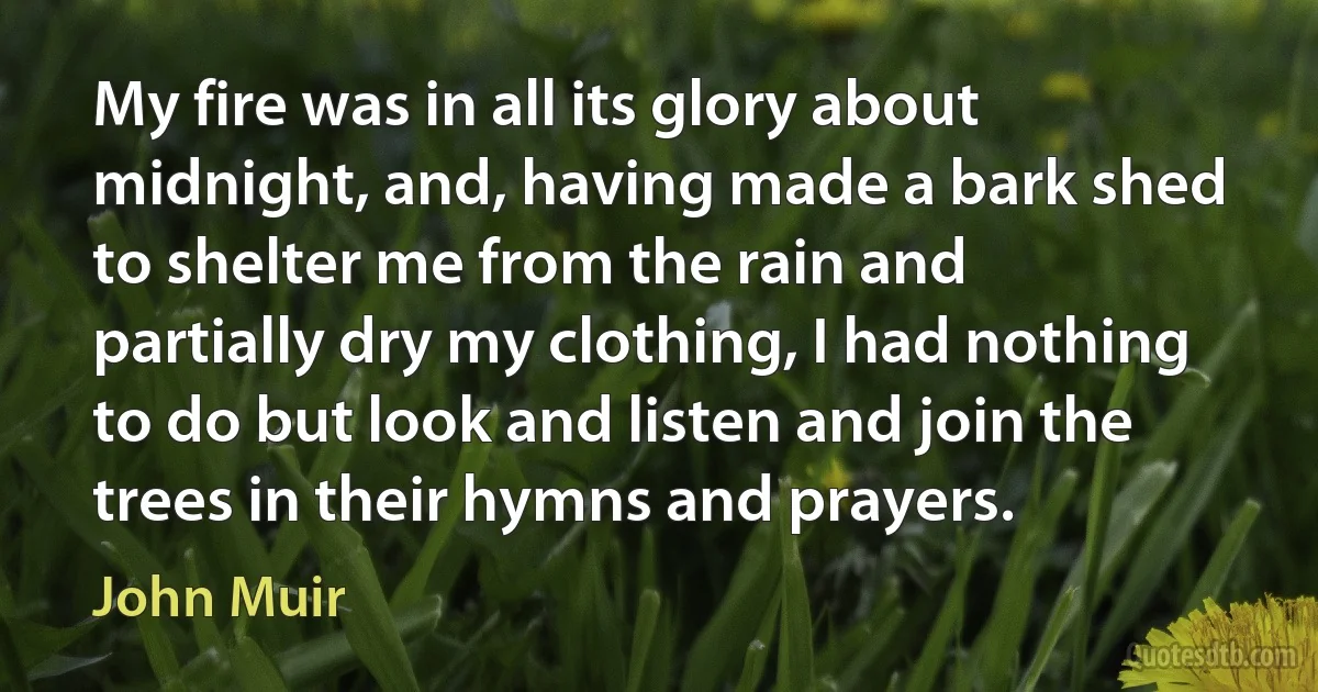 My fire was in all its glory about midnight, and, having made a bark shed to shelter me from the rain and partially dry my clothing, I had nothing to do but look and listen and join the trees in their hymns and prayers. (John Muir)
