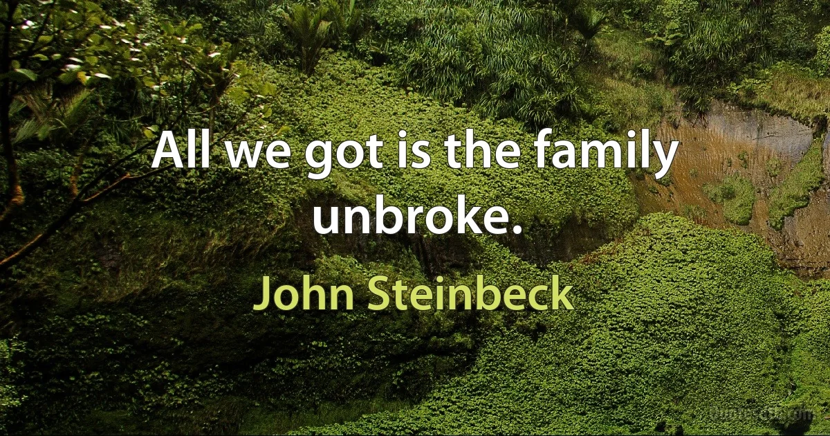 All we got is the family unbroke. (John Steinbeck)