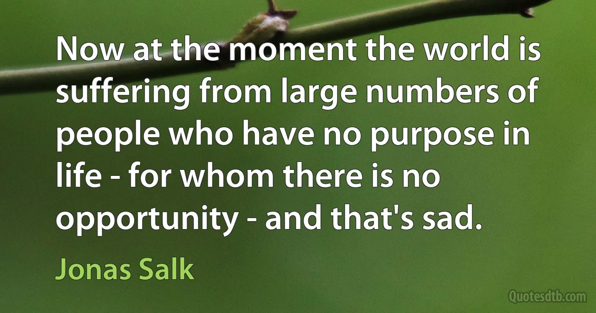 Now at the moment the world is suffering from large numbers of people who have no purpose in life - for whom there is no opportunity - and that's sad. (Jonas Salk)