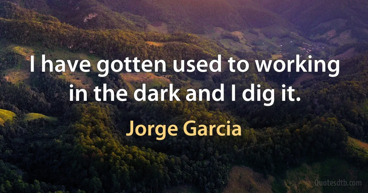 I have gotten used to working in the dark and I dig it. (Jorge Garcia)