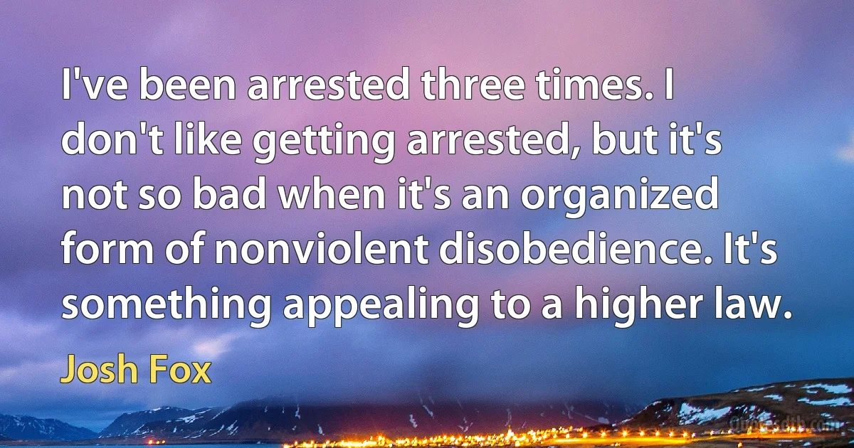 I've been arrested three times. I don't like getting arrested, but it's not so bad when it's an organized form of nonviolent disobedience. It's something appealing to a higher law. (Josh Fox)