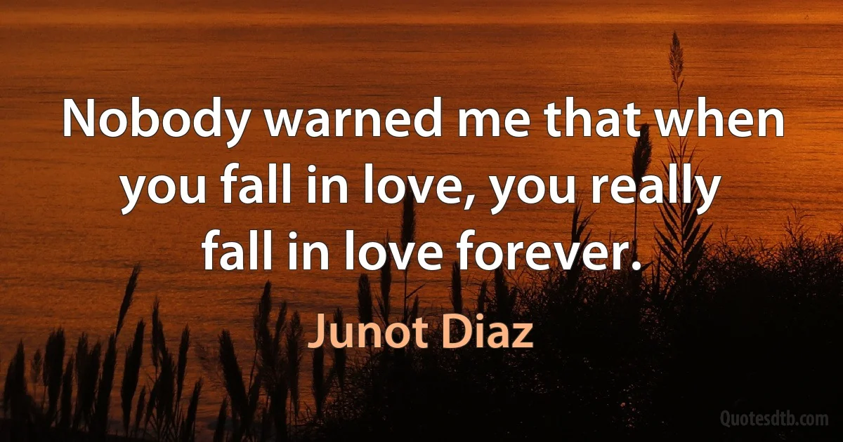 Nobody warned me that when you fall in love, you really fall in love forever. (Junot Diaz)