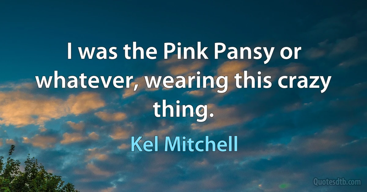 I was the Pink Pansy or whatever, wearing this crazy thing. (Kel Mitchell)