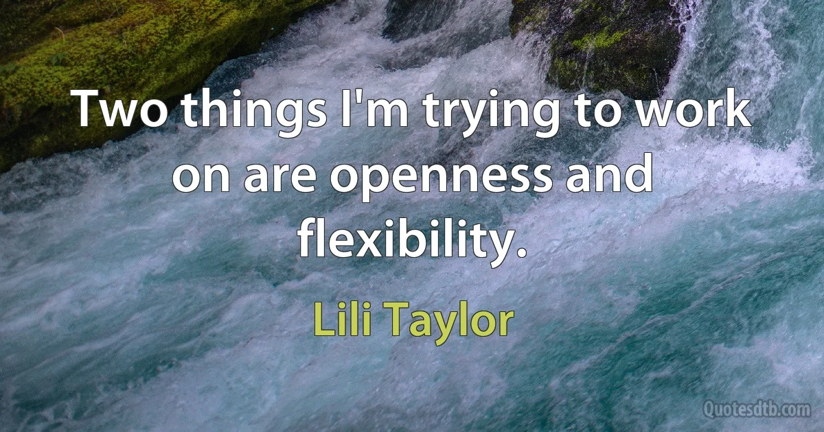 Two things I'm trying to work on are openness and flexibility. (Lili Taylor)