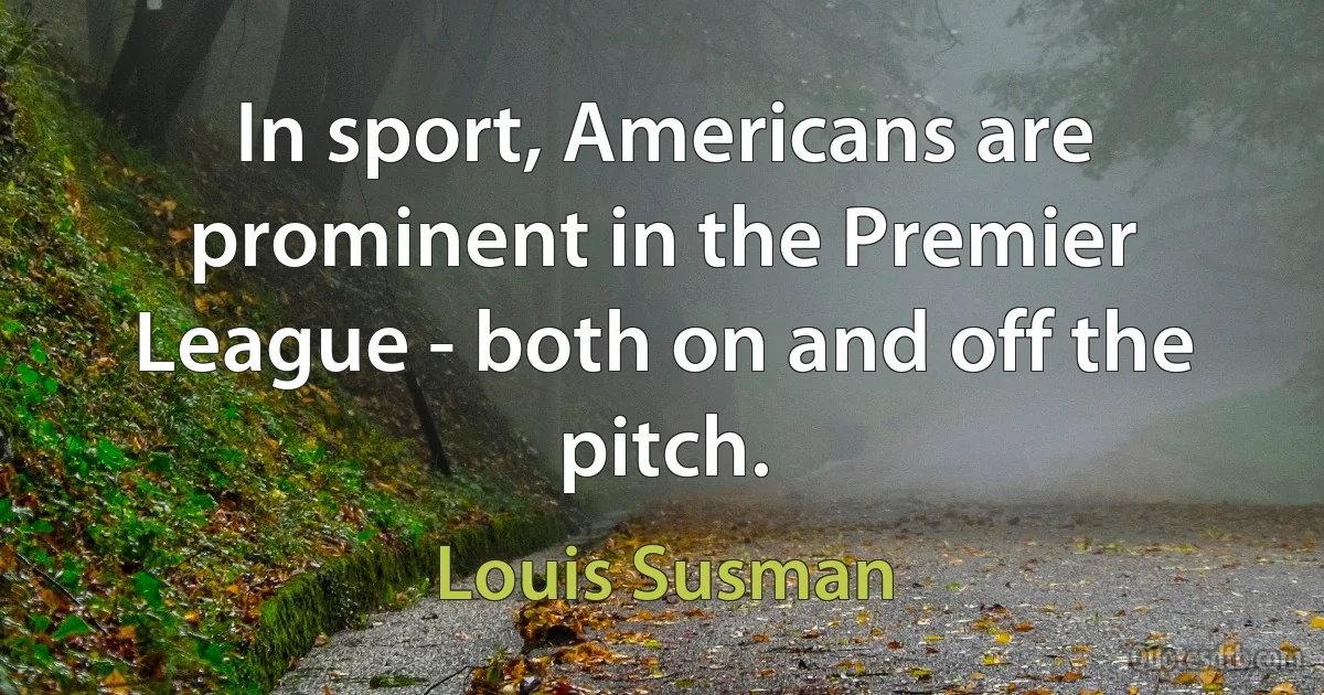 In sport, Americans are prominent in the Premier League - both on and off the pitch. (Louis Susman)