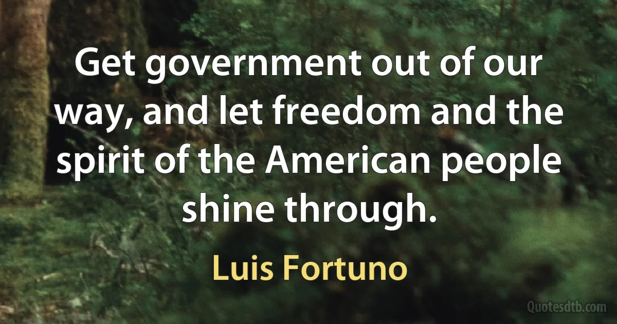 Get government out of our way, and let freedom and the spirit of the American people shine through. (Luis Fortuno)