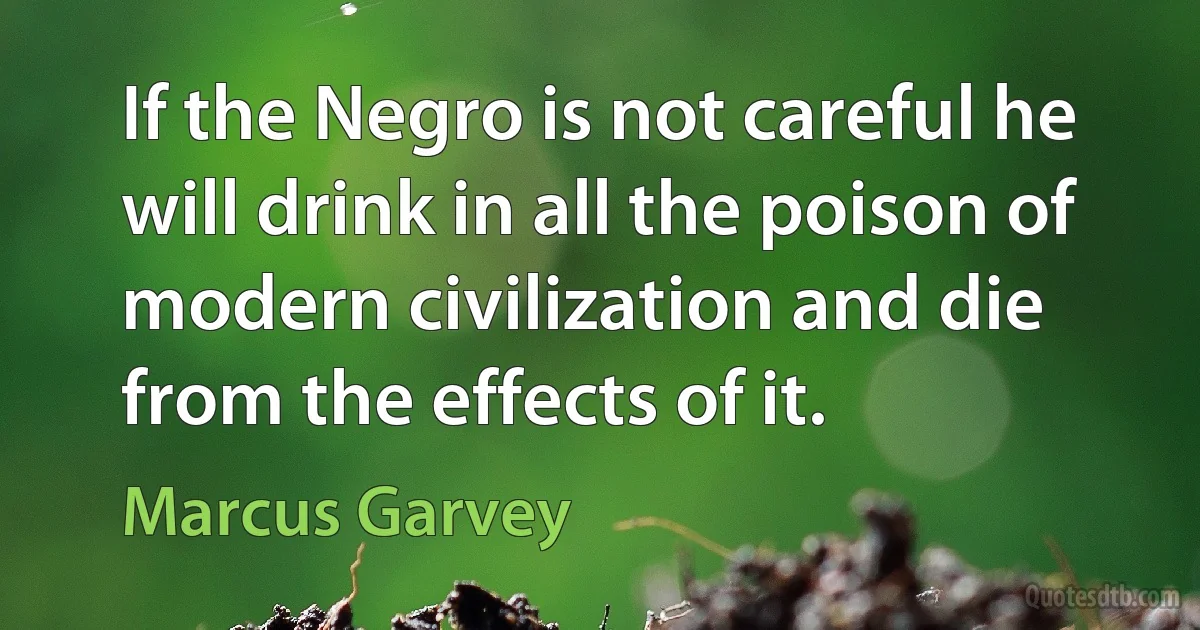 If the Negro is not careful he will drink in all the poison of modern civilization and die from the effects of it. (Marcus Garvey)