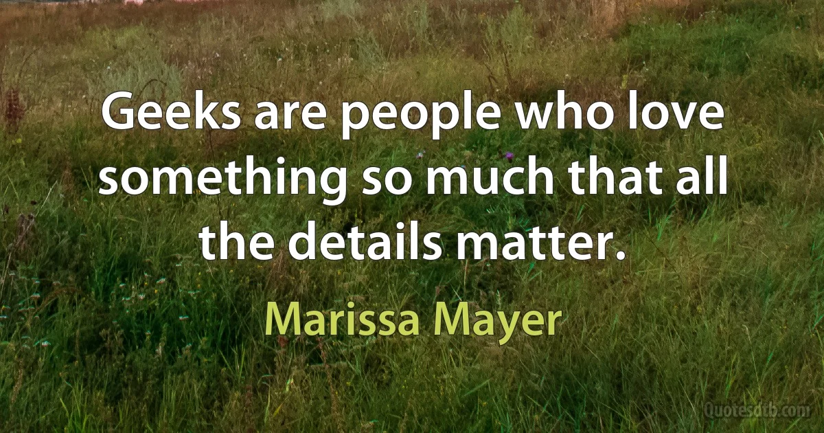 Geeks are people who love something so much that all the details matter. (Marissa Mayer)