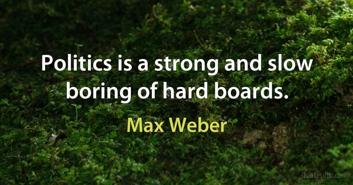 Politics is a strong and slow boring of hard boards. (Max Weber)