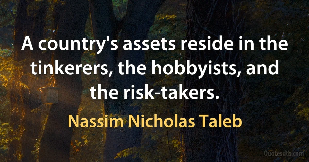 A country's assets reside in the tinkerers, the hobbyists, and the risk-takers. (Nassim Nicholas Taleb)