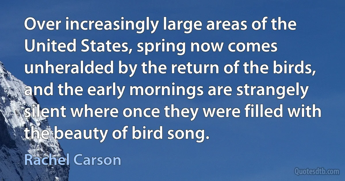 Over increasingly large areas of the United States, spring now comes unheralded by the return of the birds, and the early mornings are strangely silent where once they were filled with the beauty of bird song. (Rachel Carson)