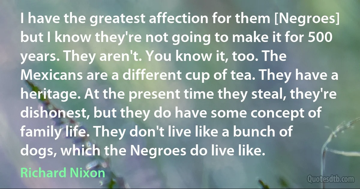 I have the greatest affection for them [Negroes] but I know they're not going to make it for 500 years. They aren't. You know it, too. The Mexicans are a different cup of tea. They have a heritage. At the present time they steal, they're dishonest, but they do have some concept of family life. They don't live like a bunch of dogs, which the Negroes do live like. (Richard Nixon)