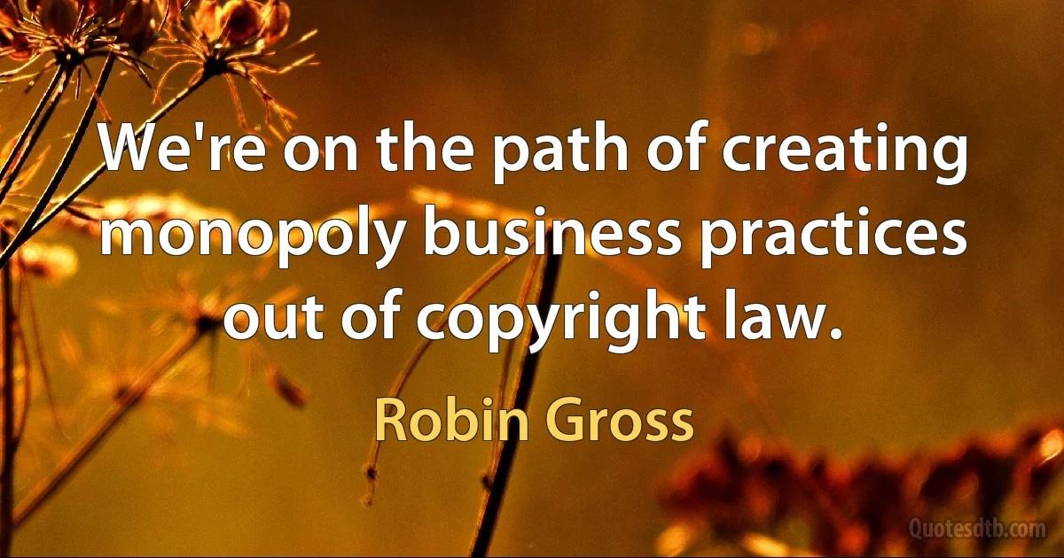 We're on the path of creating monopoly business practices out of copyright law. (Robin Gross)