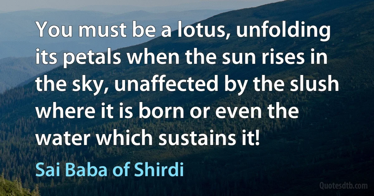 You must be a lotus, unfolding its petals when the sun rises in the sky, unaffected by the slush where it is born or even the water which sustains it! (Sai Baba of Shirdi)