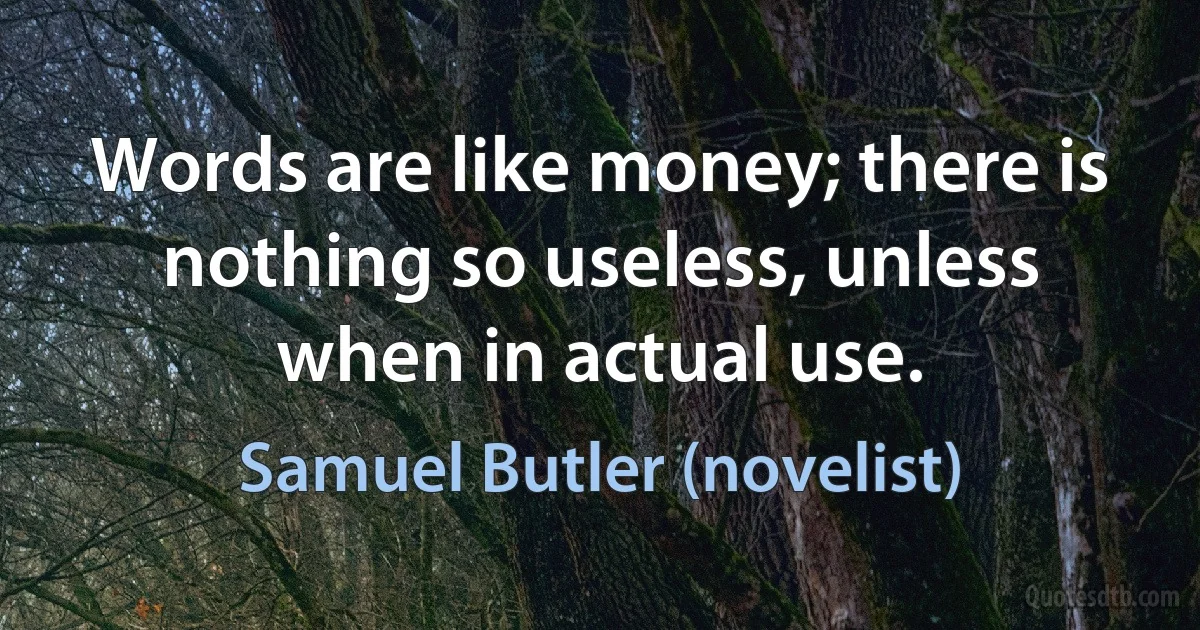 Words are like money; there is nothing so useless, unless when in actual use. (Samuel Butler (novelist))