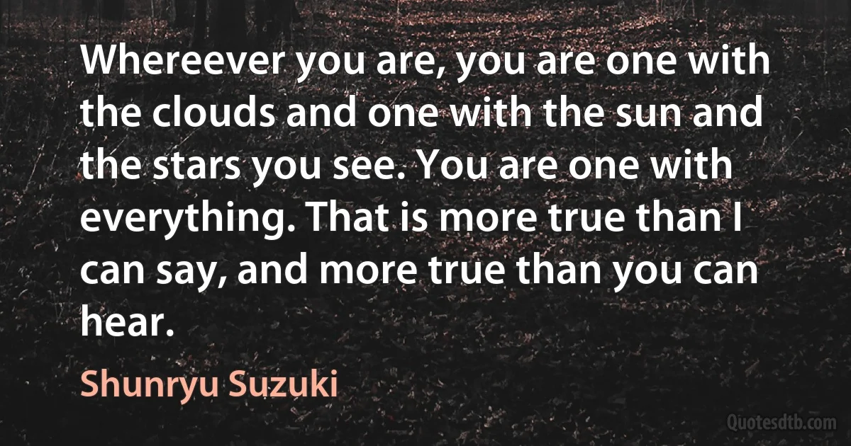 Whereever you are, you are one with the clouds and one with the sun and the stars you see. You are one with everything. That is more true than I can say, and more true than you can hear. (Shunryu Suzuki)